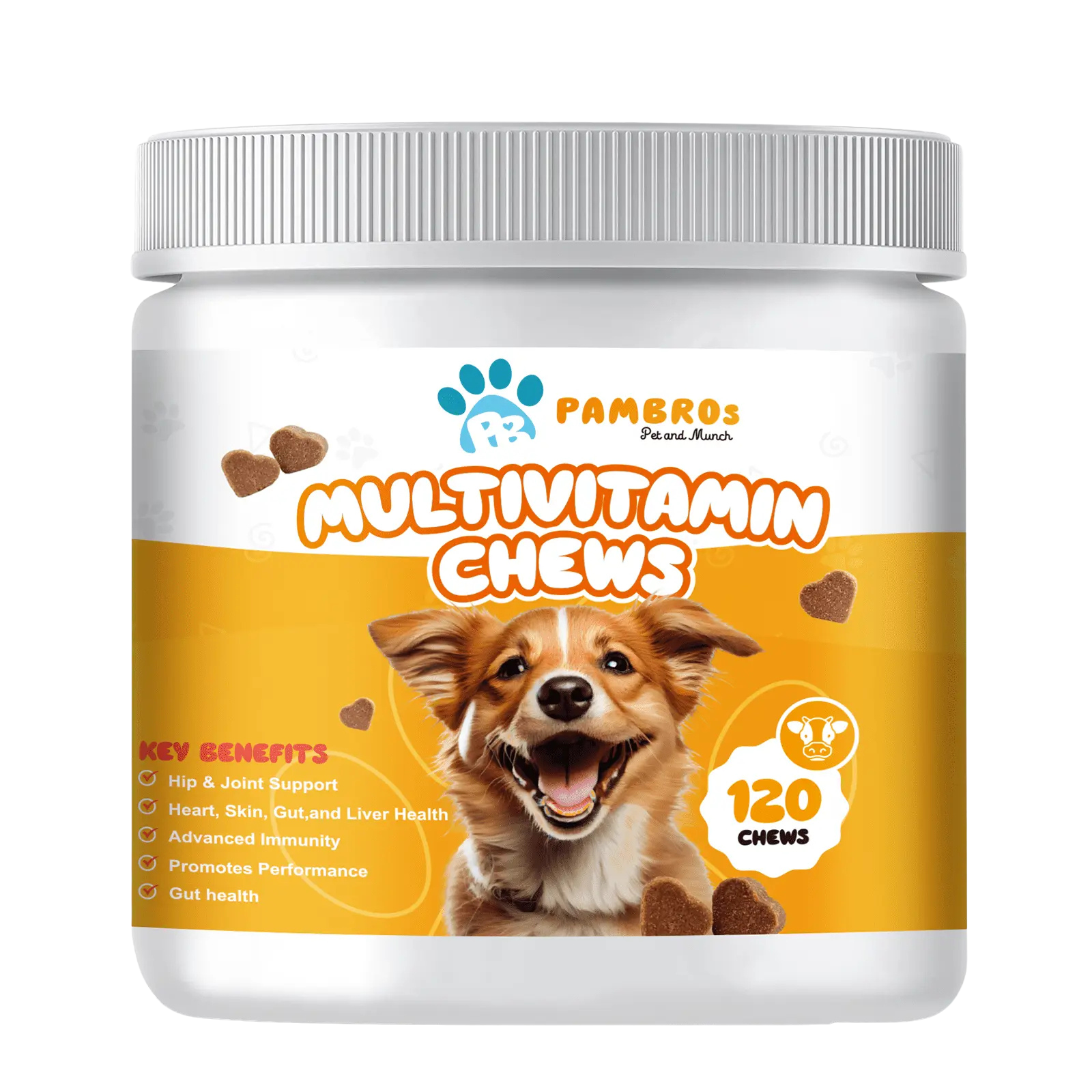 Multivitamin Chews for Dogs: Daily Health Support | Pambros