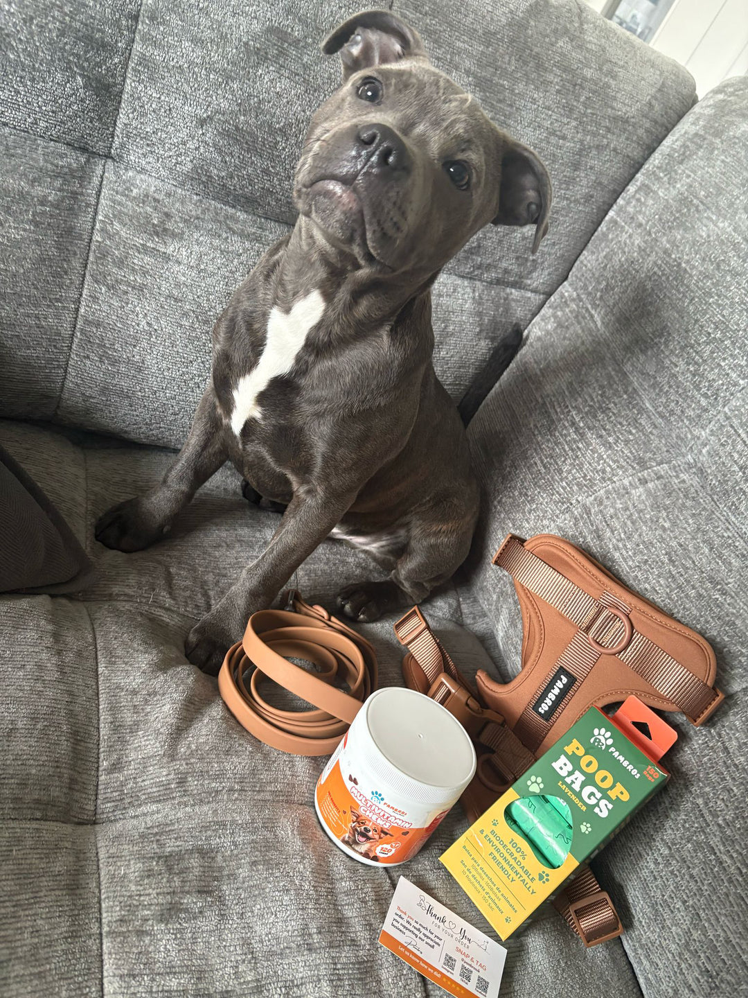 Dog Poop Bags
