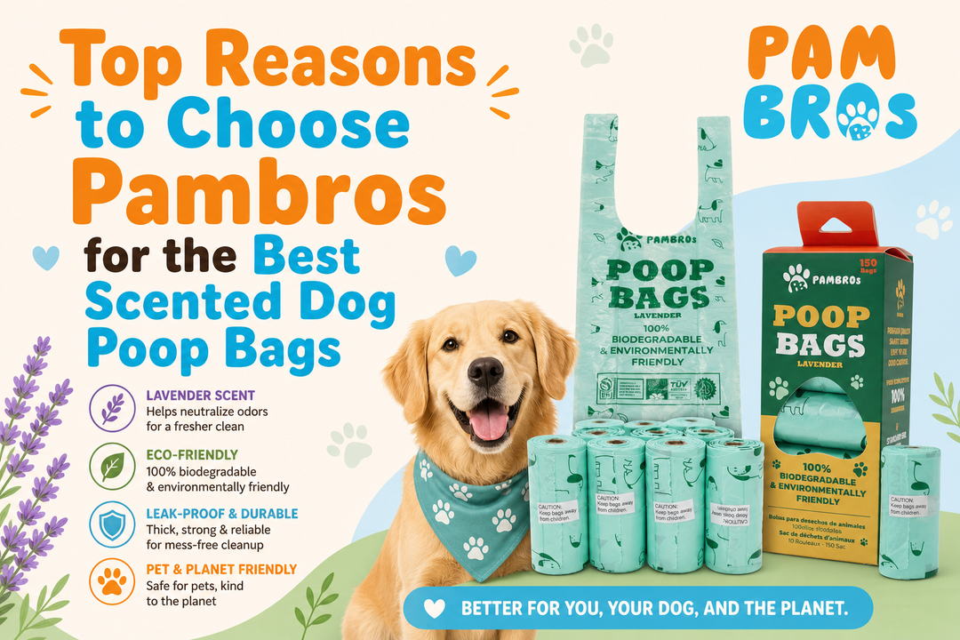 Top Reasons to Choose Pambros for the Best Scented Dog Poop Bags