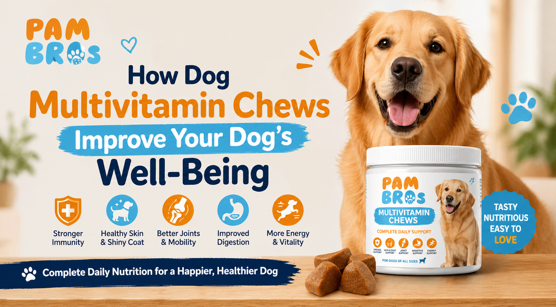 How Pambros Dog Multivitamin Chews Improve Your Dog’s Wellbeing
