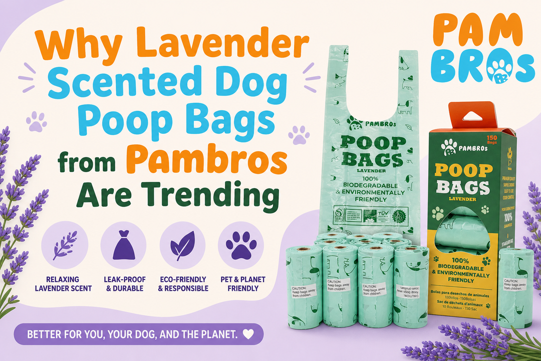 Why Lavender Scented Dog Poop Bags from Pambros Are Trending
