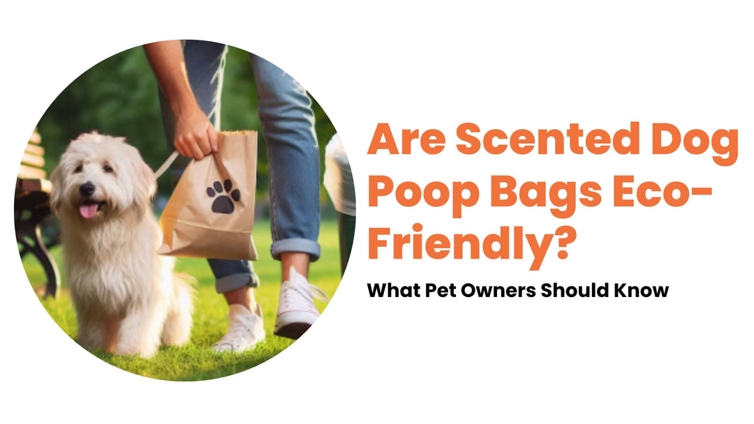 Are Scented Dog Poop Bags Eco-Friendly? What Pet Owners Should Know