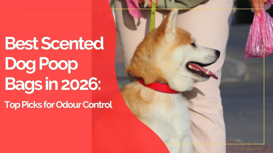 Best Scented Dog Poop Bags in 2026: Top Picks for Odour Control