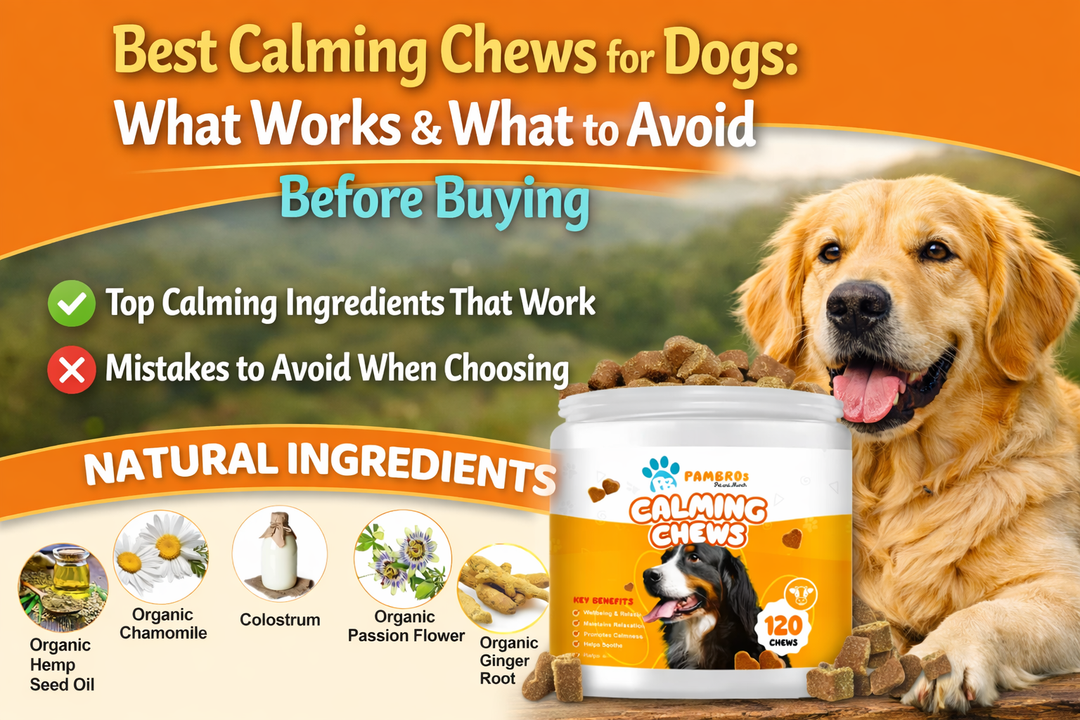 Best Calming Chews for Dogs: What Works & What to Avoid Before Buying