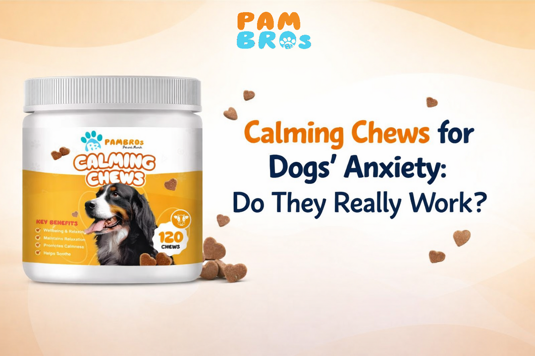 Calming Chews for Dogs’ Anxiety: Do They Really Work?