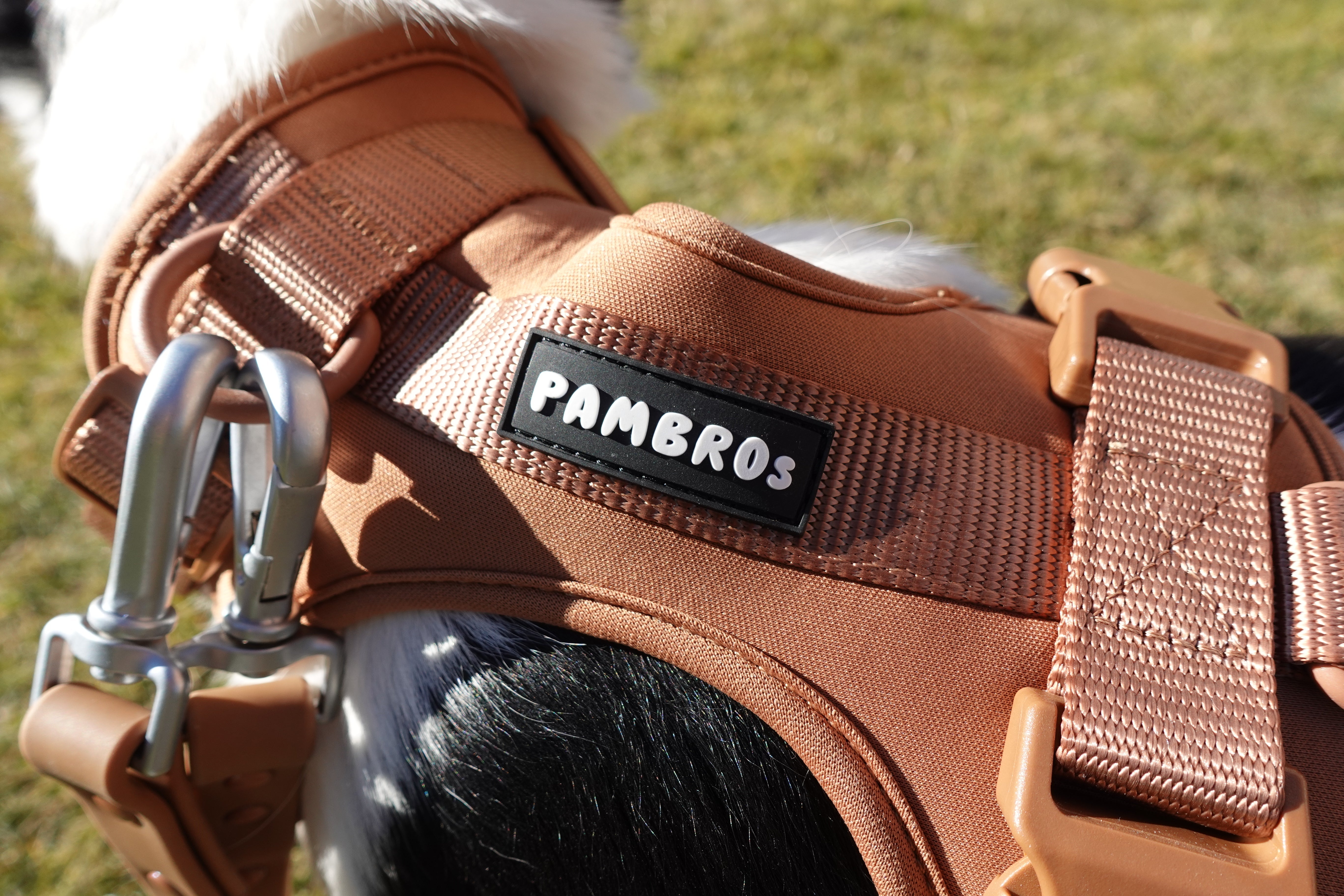 Unleash Your Dog's Style - Pambros' Harness Sets for Every Pup