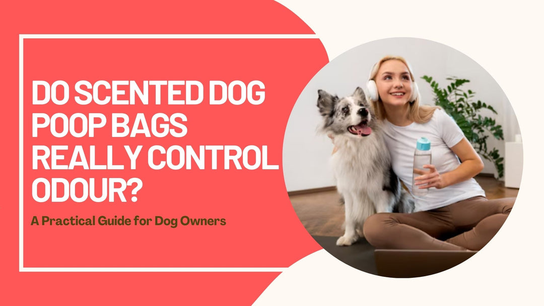 Do Scented Dog Poop Bags Really Control Odour? A Practical Guide for Dog Owners