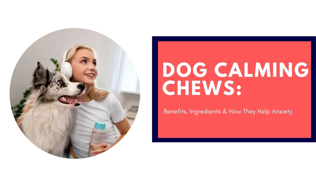 Dog Calming Chews: Benefits, Ingredients & How They Help Anxiety