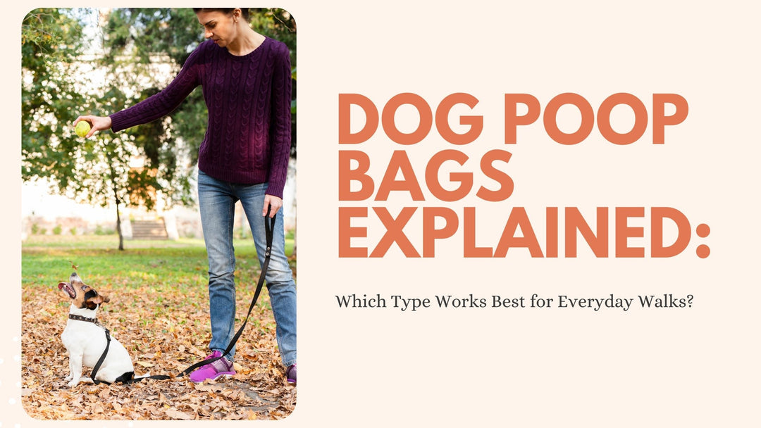 Dog Poop Bags Explained: Which Type Works Best for Everyday Walks?