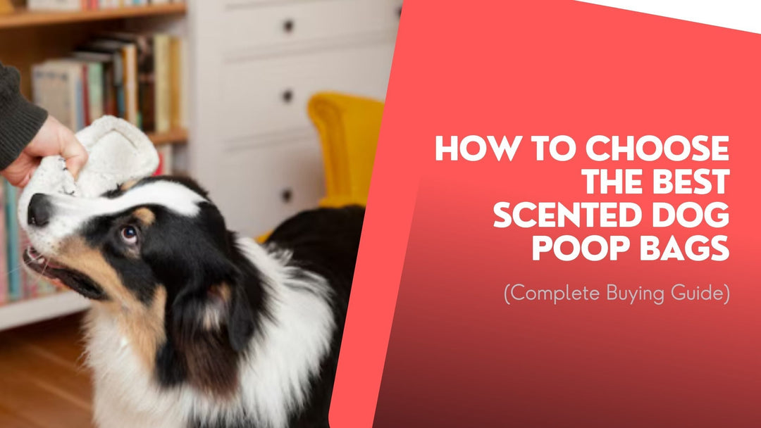 How to Choose the Best Scented Dog Poop Bags (Complete Buying Guide)