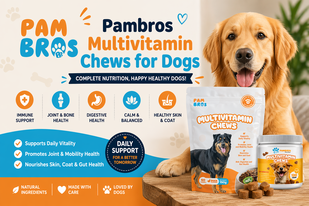 Pambros Multivitamin Chews for Dogs: The Smart Choice for Balanced Nutrition