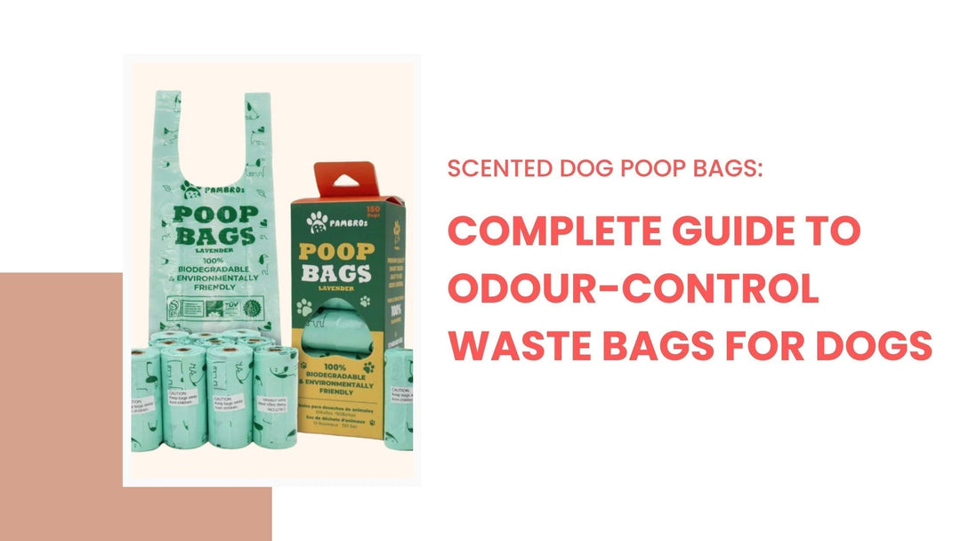 Scented Dog Poop Bags: Odour-Control Guide & Tips Dog Poop Bags Scented