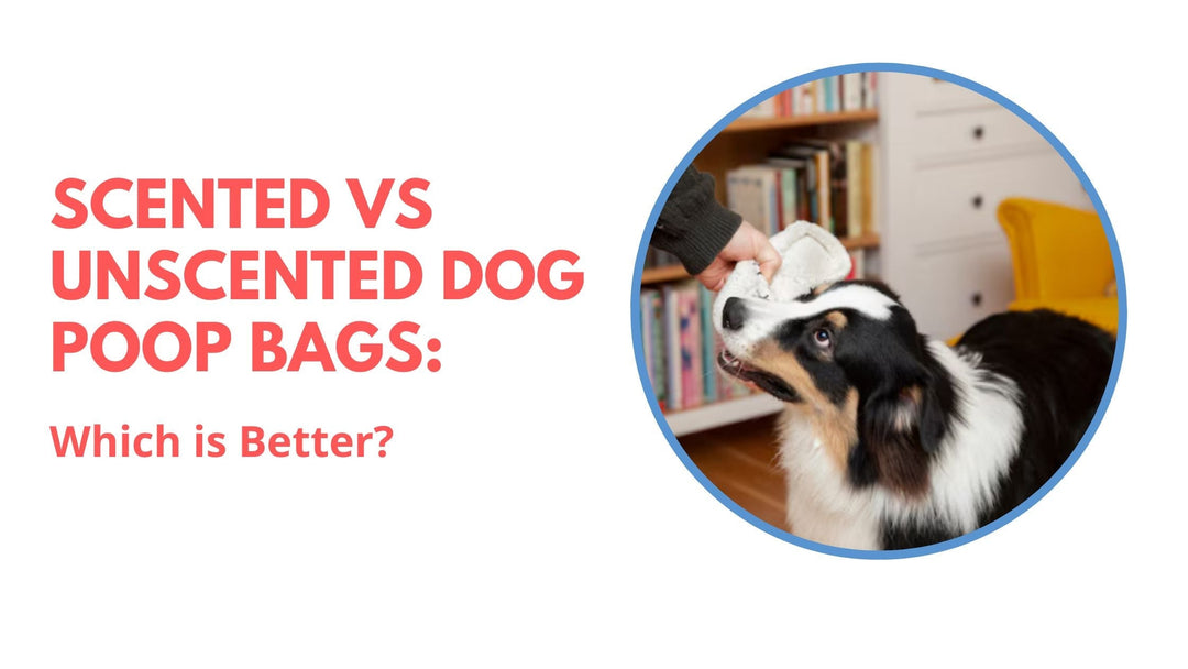 Scented vs Unscented Dog Poop Bags: Which is Better?