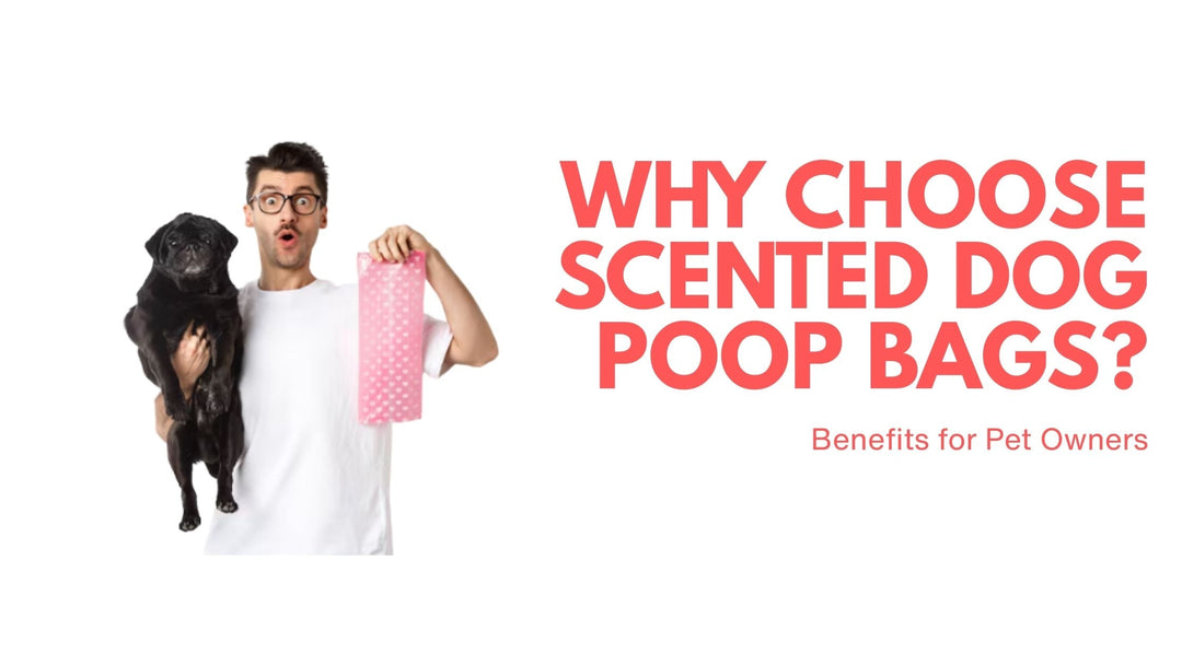 Why Choose Scented Dog Poop Bags? Benefits for Pet Owners