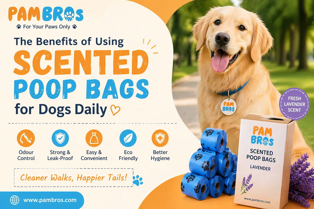 The Benefits of Using Pambros Scented Poop Bags for Dogs Daily