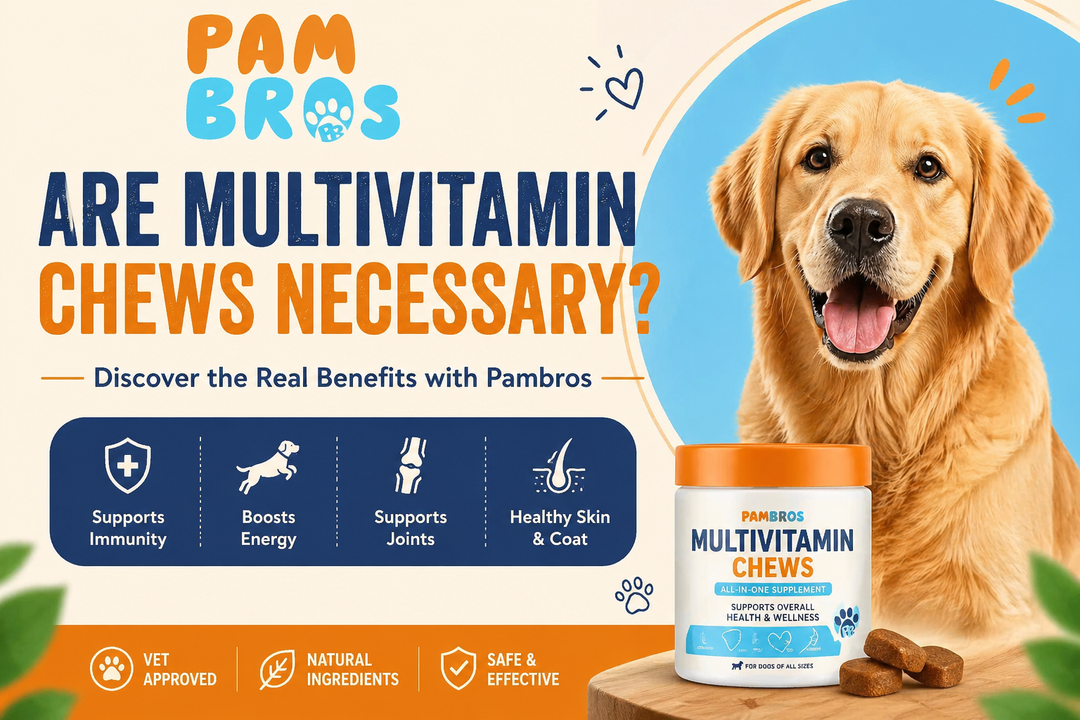 Are Multivitamin Chews Necessary? Discover the Benefits with Pambros