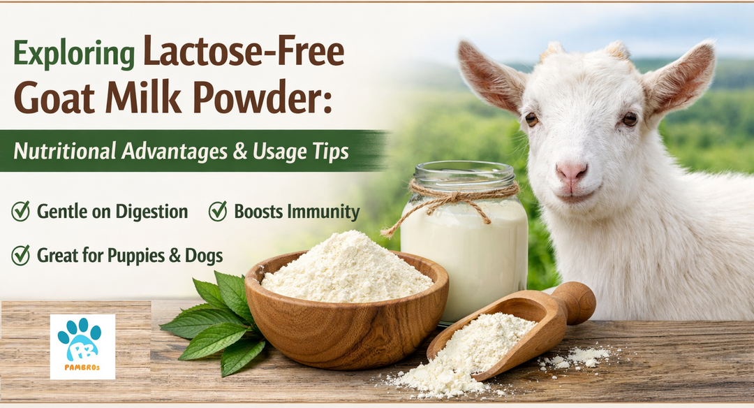 Exploring Lactose-Free Goat Milk Powder: Nutritional Advantages and Usage Tips