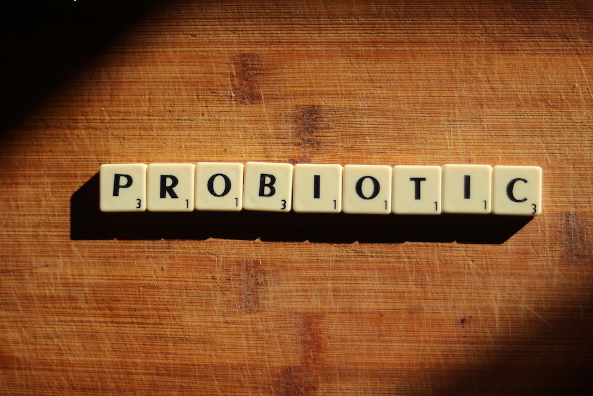Probiotics for Pets - Why Gut Health Matters