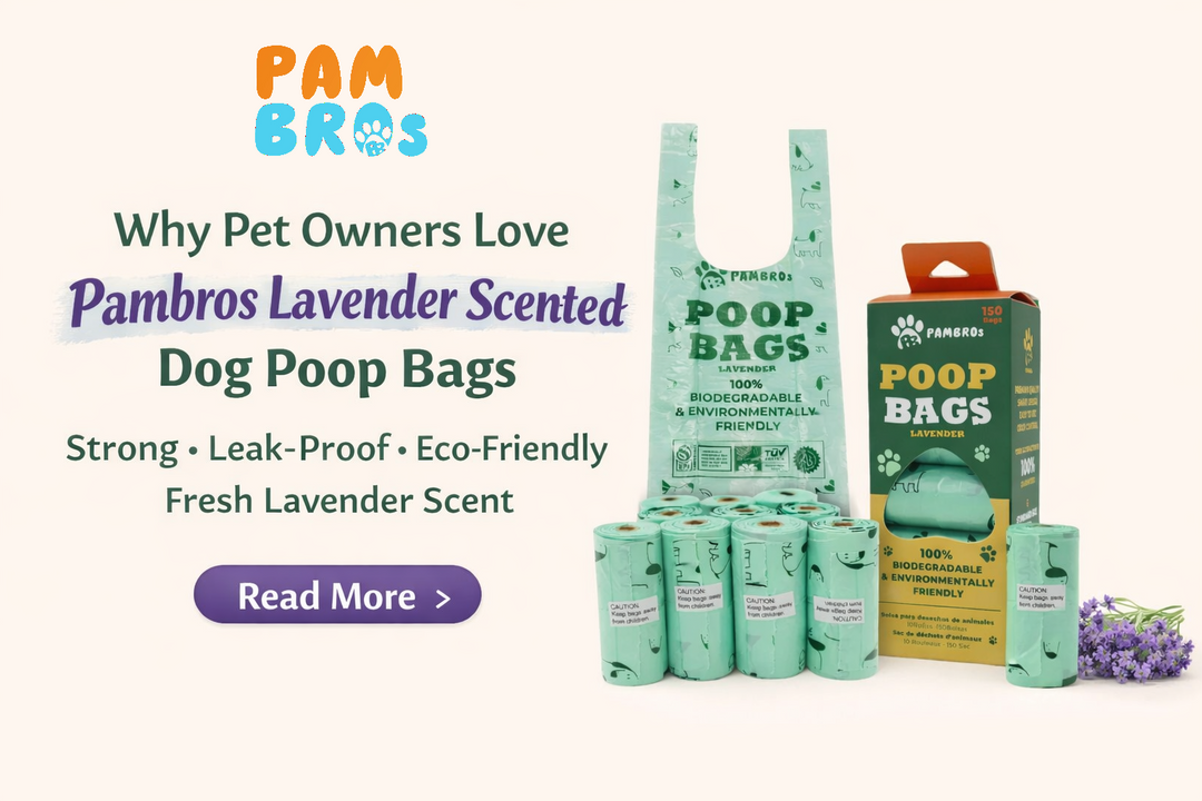 Why Pet Owners Love Pambros Lavender Scented Dog Poop Bags