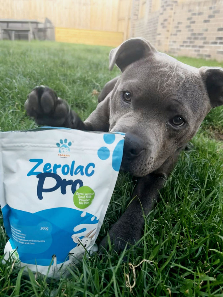 Zero-Lactose Goat Milk Powder for Dogs & Cats - Digestive & Immune Health Supplement