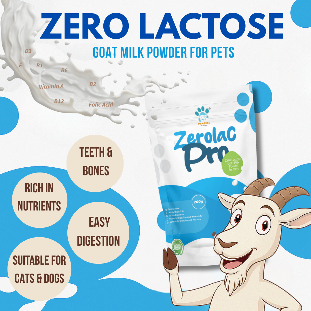 Goat Milk Powder for Dogs - Lactose-free Supplement - Pambros