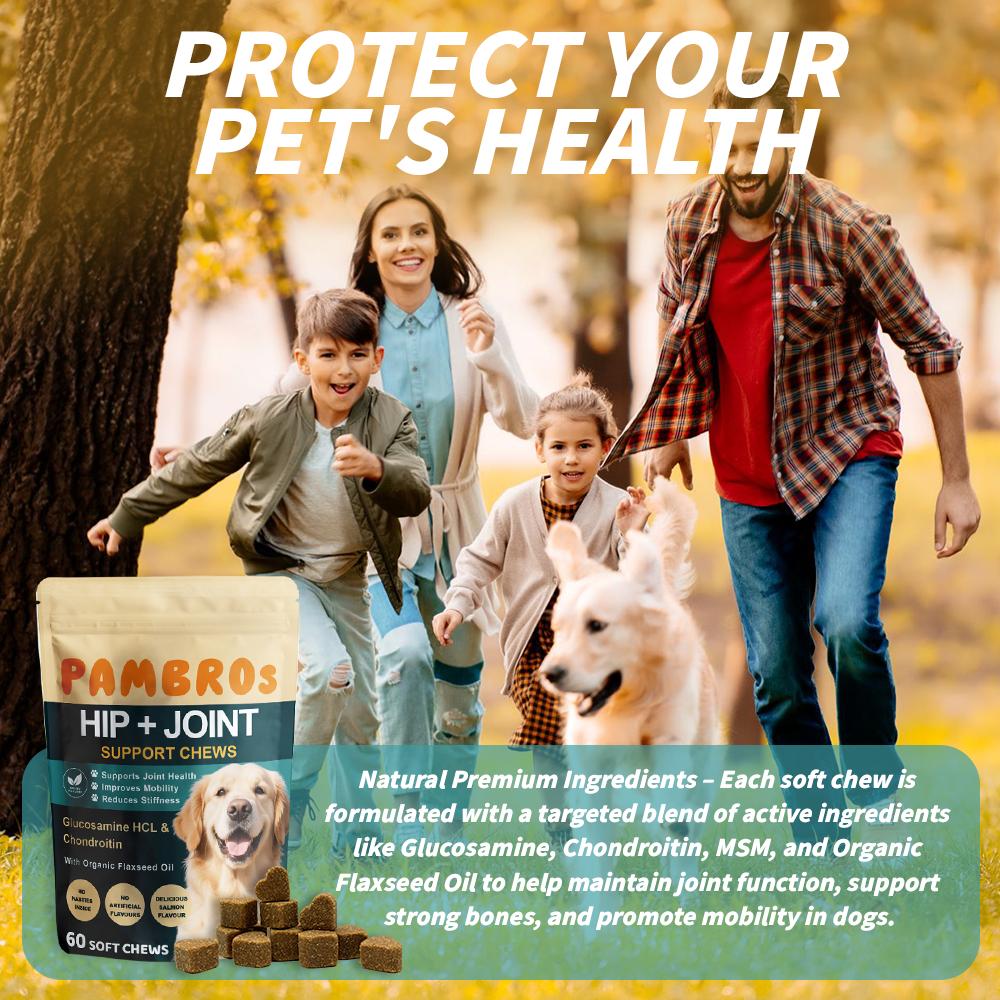Hip & Joint Chews for Dogs – 60 Soft Chews – High Strength & Natural Formula for Mobility, Stiffness & Arthritis Relief