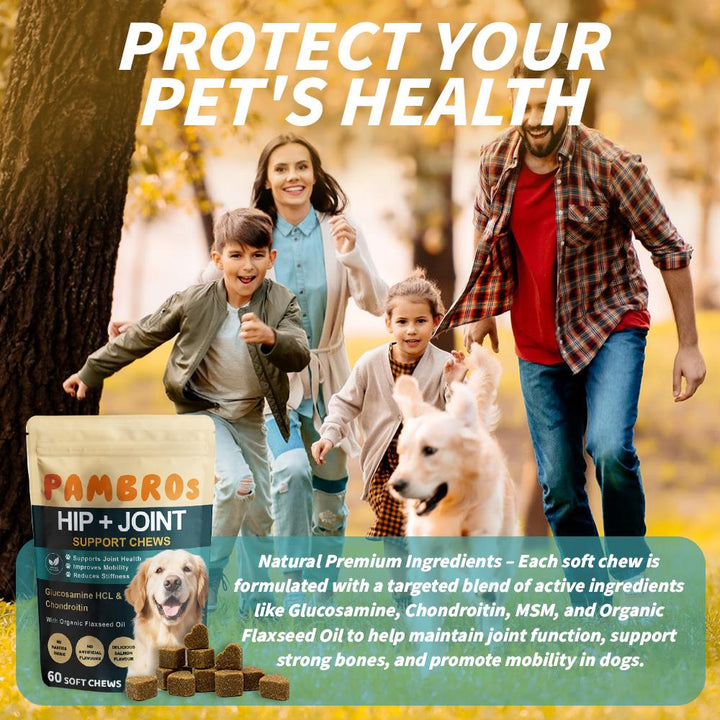 Hip & Joint Chews for Dogs – 60 Soft Chews – High Strength & Natural Formula for Mobility, Stiffness & Arthritis Relief