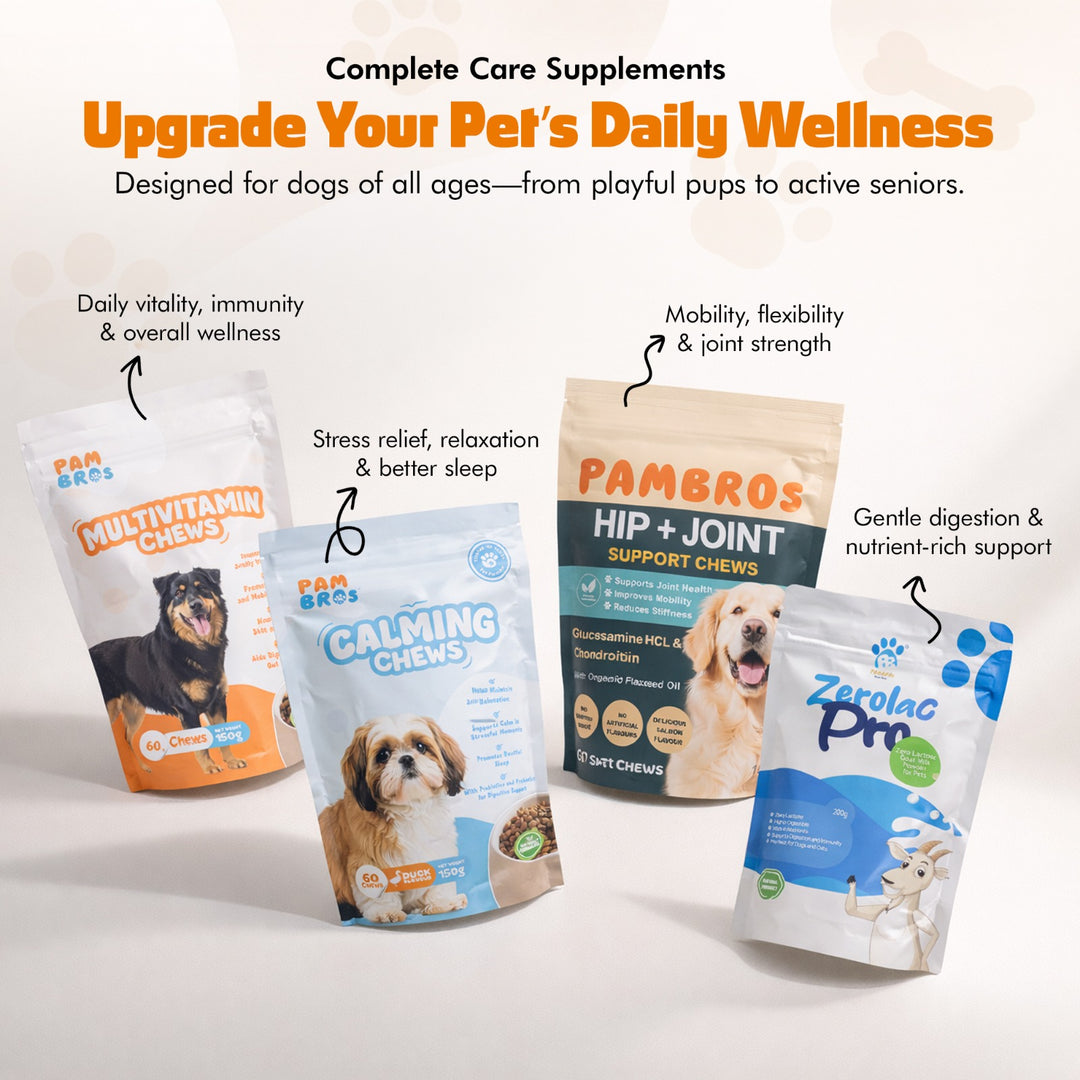 Multivitamin Chews for Dogs – Daily Health Support for Joints, Skin, Coat & Immunity