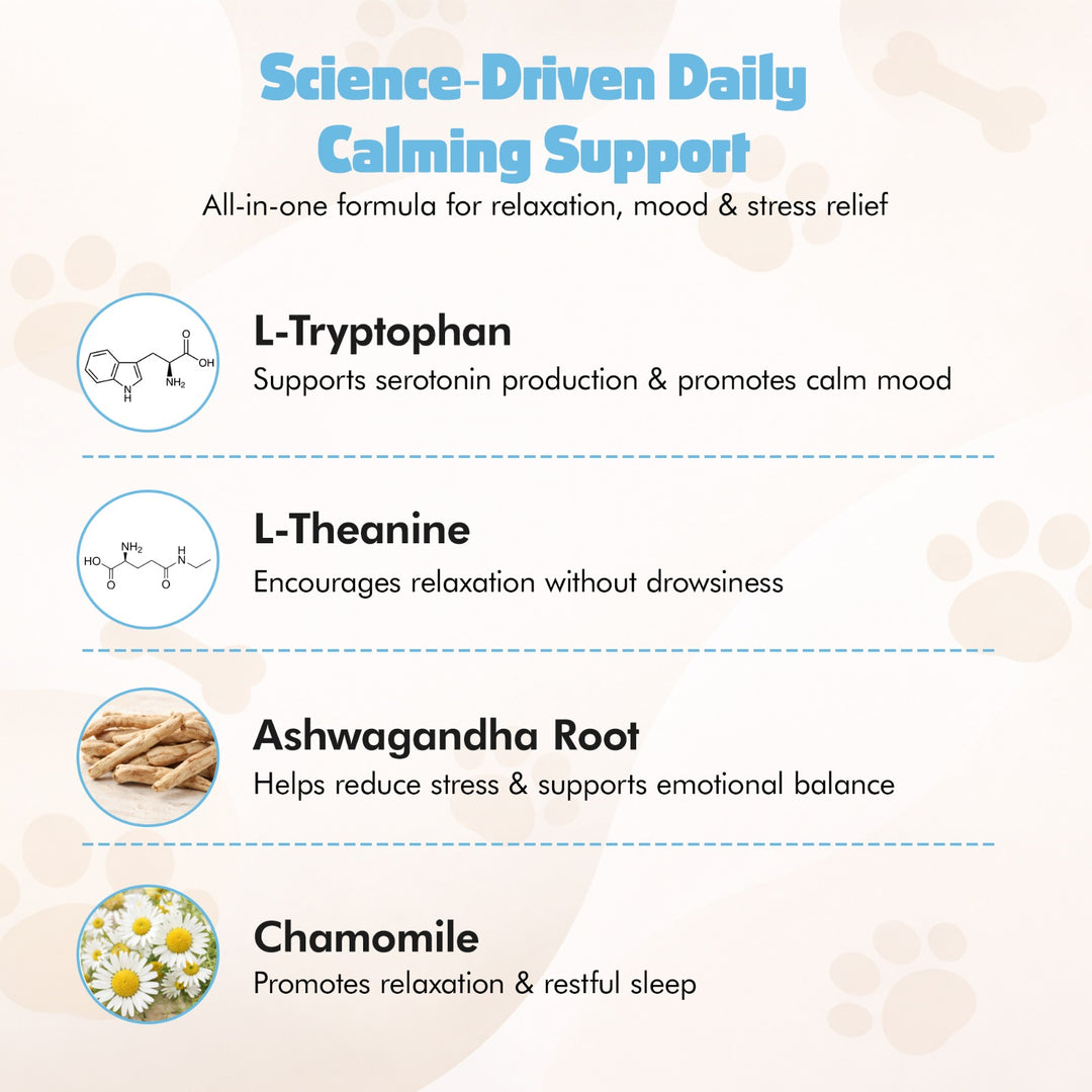 Natural Calming Chews for Dogs – Stress Relief, Anxiety & Relaxation Support
