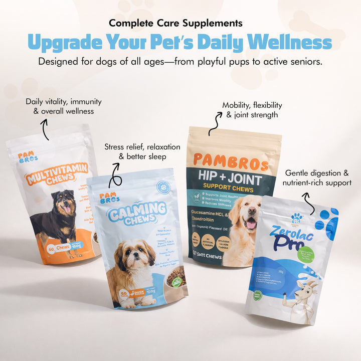 Natural Calming Chews for Dogs – Stress Relief, Anxiety & Relaxation Support