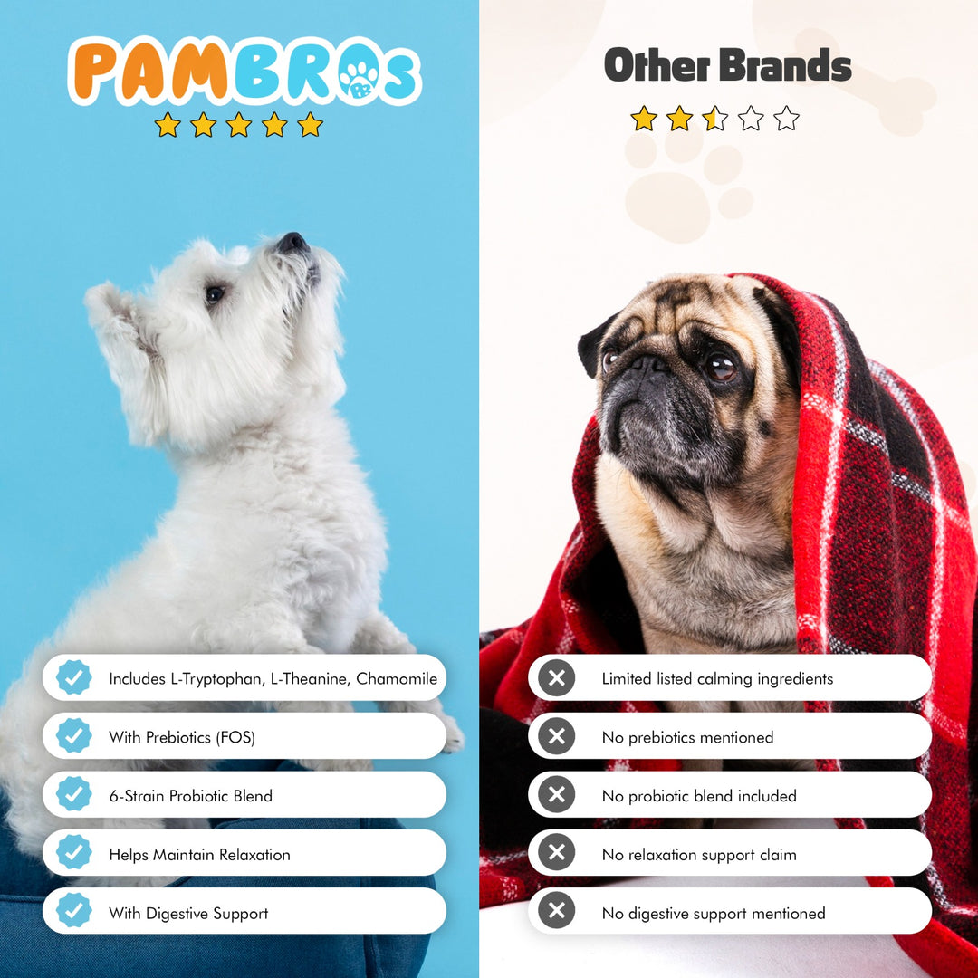 Natural Calming Chews for Dogs – Stress Relief, Anxiety & Relaxation Support