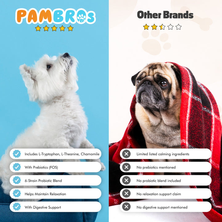 Natural Calming Chews for Dogs – Stress Relief, Anxiety & Relaxation Support
