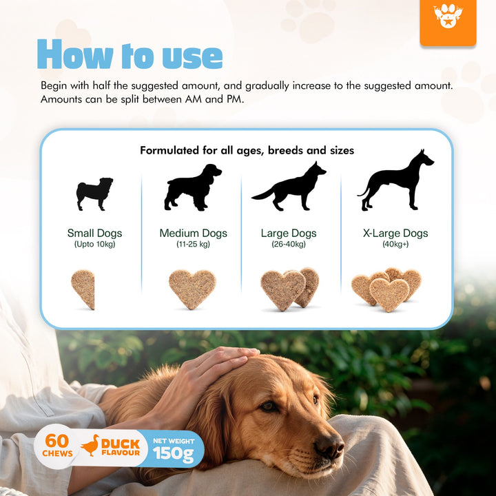 Natural Calming Chews for Dogs – Stress Relief, Anxiety & Relaxation Support