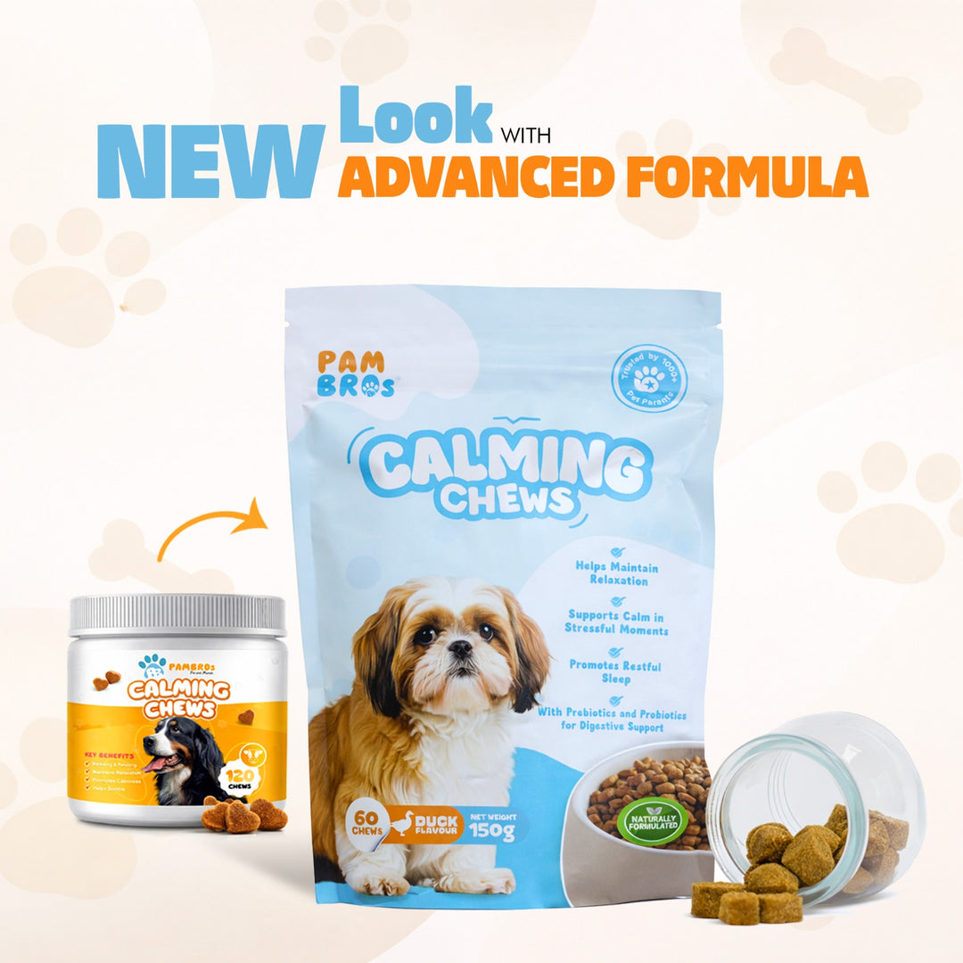 Natural Calming Chews for Dogs – Stress Relief, Anxiety & Relaxation Support