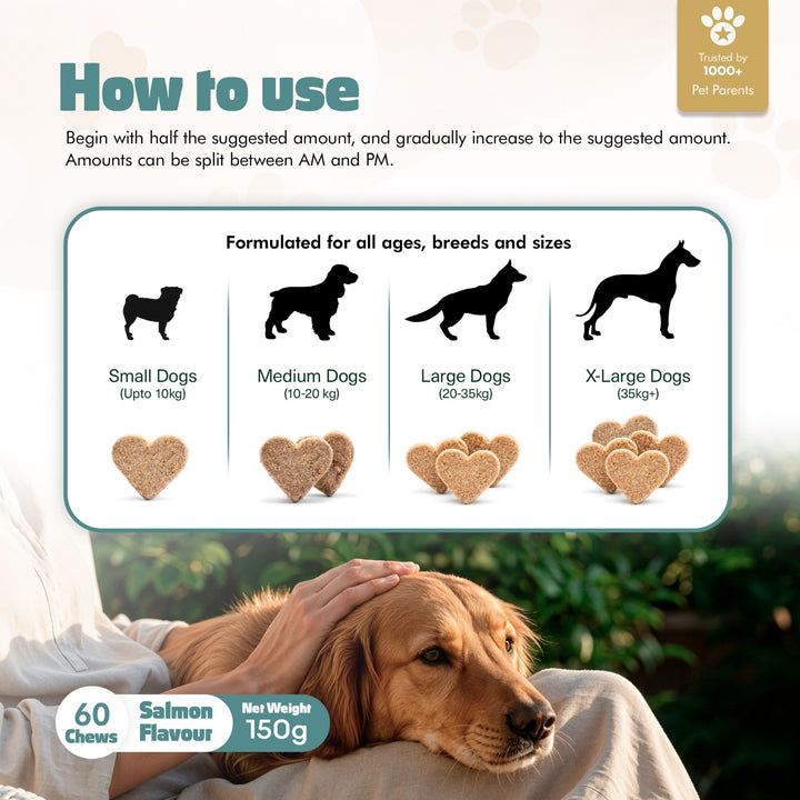 Hip & Joint Chews for Dogs – 60 Soft Chews – High Strength & Natural Formula for Mobility, Stiffness & Arthritis Relief