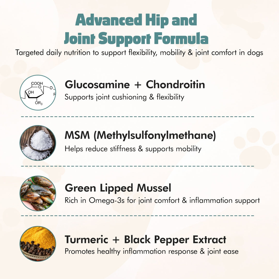 Hip & Joint Chews for Dogs – 60 Soft Chews – High Strength & Natural Formula for Mobility, Stiffness & Arthritis Relief
