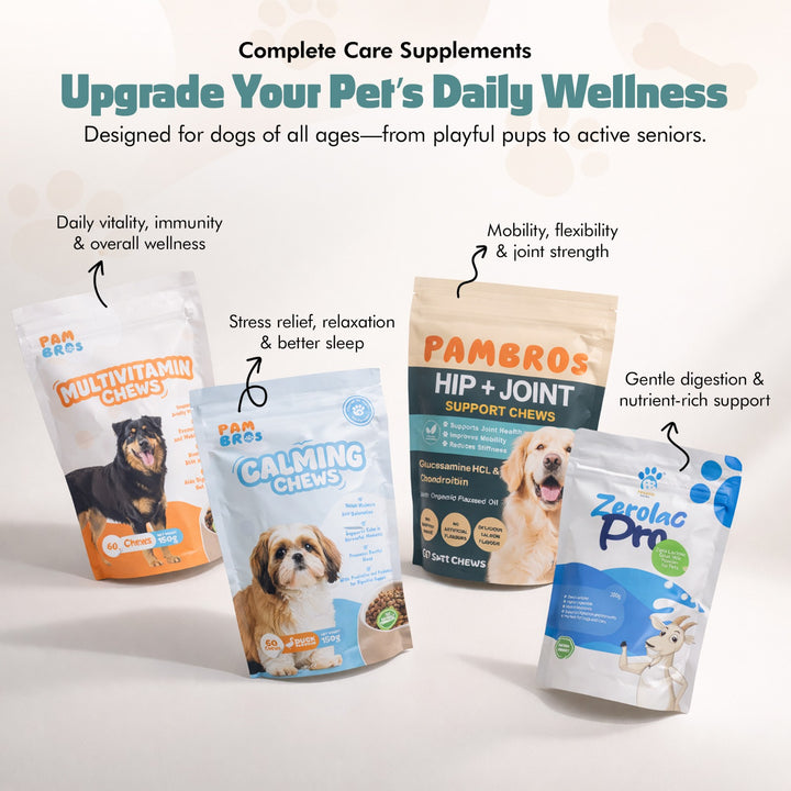 Hip & Joint Chews for Dogs – 60 Soft Chews – High Strength & Natural Formula for Mobility, Stiffness & Arthritis Relief