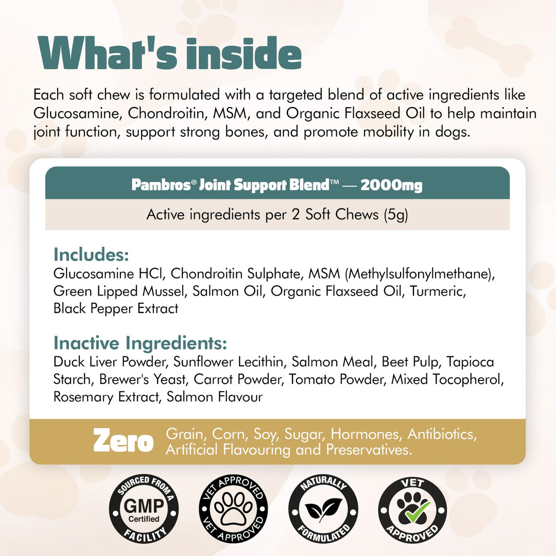 Hip & Joint Chews for Dogs – 60 Soft Chews – High Strength & Natural Formula for Mobility, Stiffness & Arthritis Relief