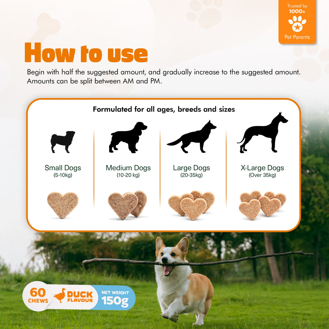 Multivitamin Chews for Dogs – Daily Health Support for Joints, Skin, Coat & Immunity
