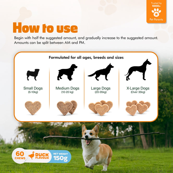 Multivitamin Chews for Dogs – Daily Health Support for Joints, Skin, Coat & Immunity