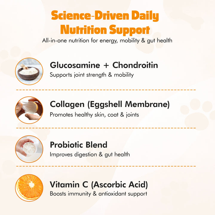 Multivitamin Chews for Dogs – Daily Health Support for Joints, Skin, Coat & Immunity