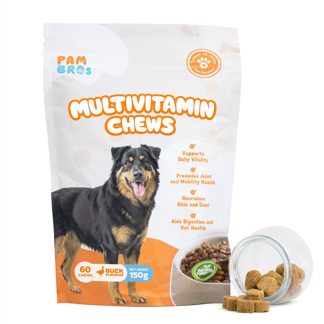 Package ofPambros Multivitamin Chews for dogs with a dog on the packaging.