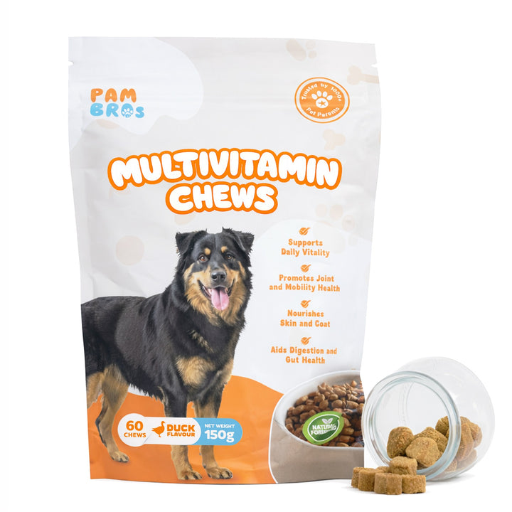 Package ofPambros Multivitamin Chews for dogs with a dog on the packaging.