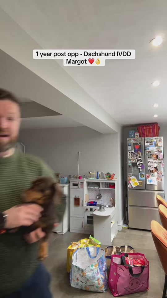 Customer video of a pet using Pambros