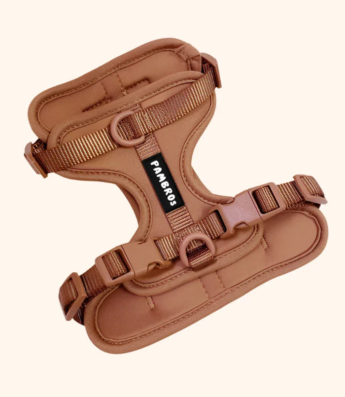 Harness & Lead Set